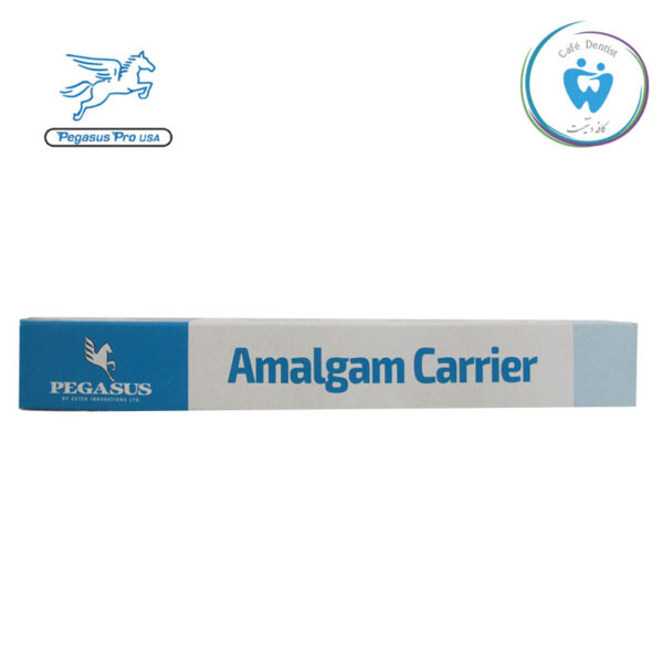 آمالگام کریر پگاسوس ( غیر اصلی ) – Amalgam carrier Pegasus