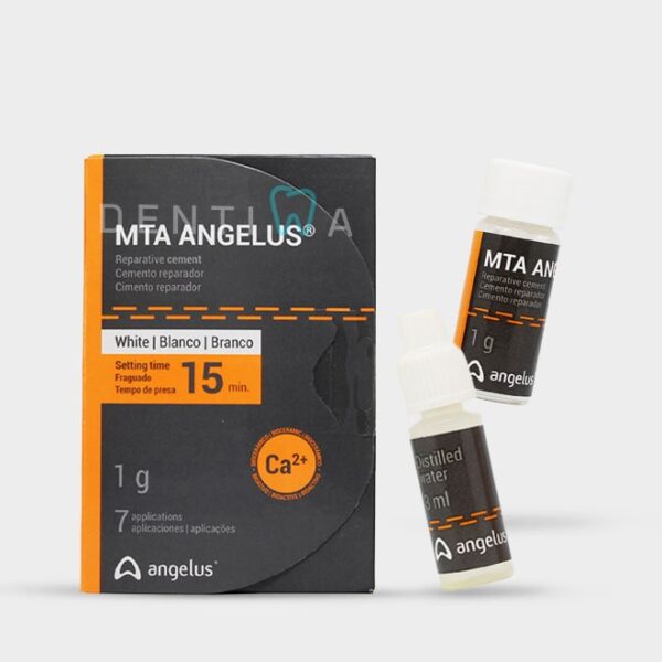 MTA Angelus – ام‌تی‌ای آنجلوس