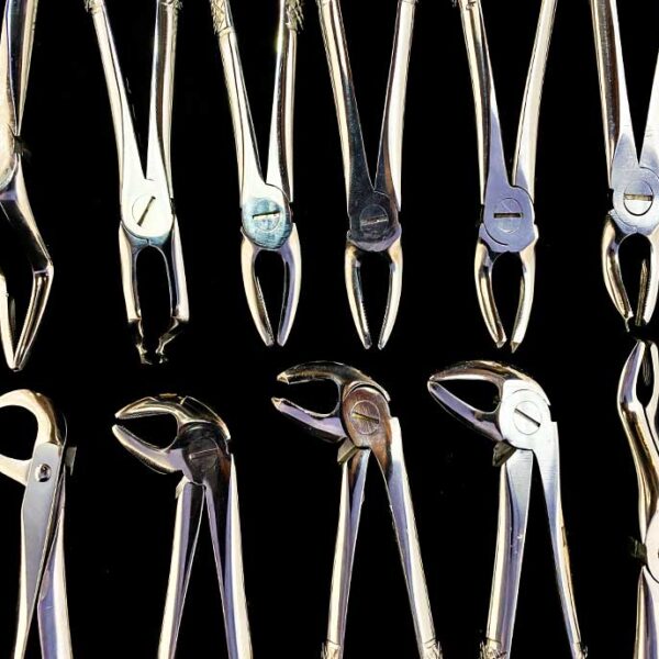 ست فورسپس بزرگسال نوک  خیلی ضخیم پیشرو