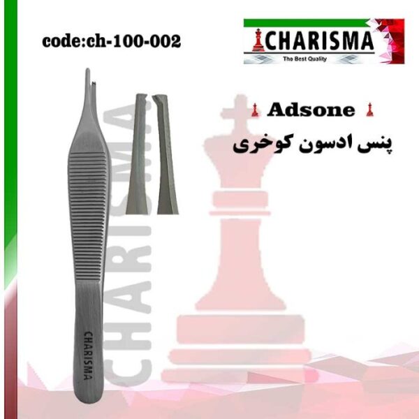 پنس ادسون کوخری باریک کاریزما