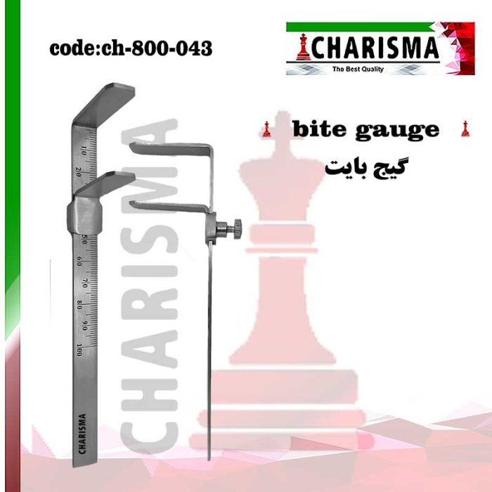 گیج بایت