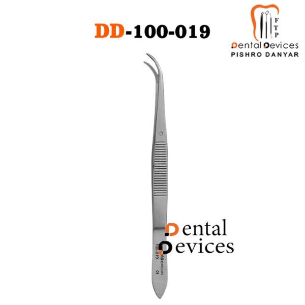 پنس گوتا و نگین