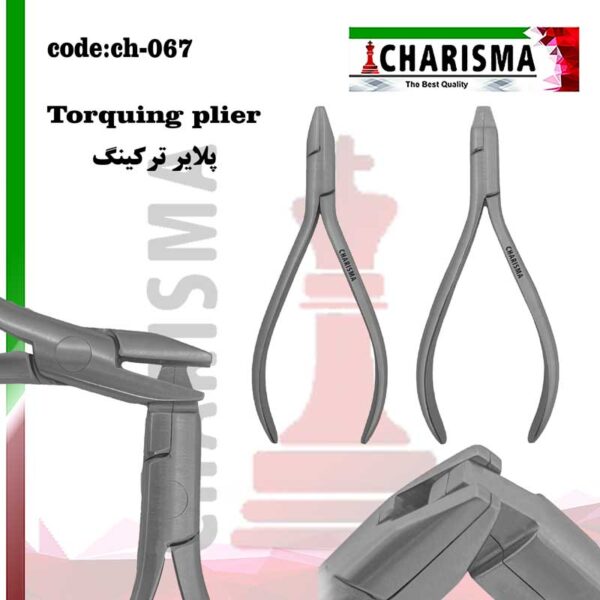 پلایر ترکینگ کاریزما (2عددی)