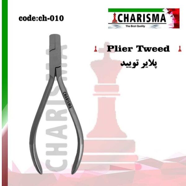 پلایر تویید کاریزما