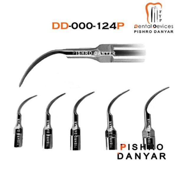 سر قلم جرمگیری