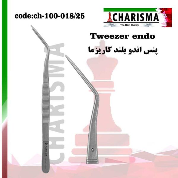 پنس اندو بلند کاریزما